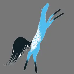 Blue Appaloosa